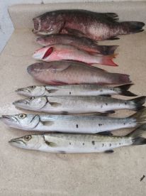 Amazing Fishing Trip!!