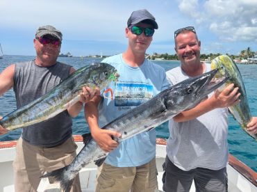 From Cruise to Charter