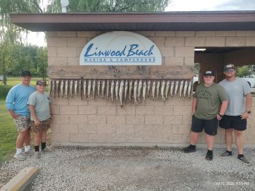 A group of young anglers proudly posing with their catch of Walleye displayed on a board at Linwood Beach Marina after a successful fishing trip.