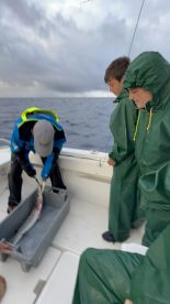 We were extremely peleases this trip