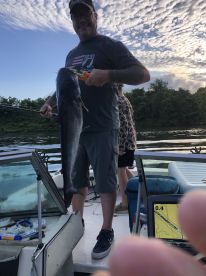 An angler proudly displaying a large Catfish while fishing on a serene river, with a scenic backdrop of trees and clouds.
