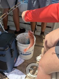 An angler reeling in a Red Snapper while fishing aboard a boat, showcasing the excitement of the catch.