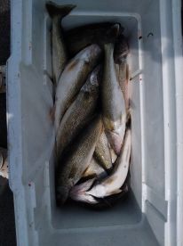 had a great 5ime fishing with you john,come on bac