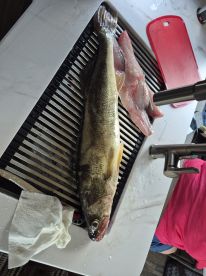 Awesome Trip for my wish list