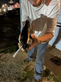 A young angler proudly displaying a freshly caught fish at night, showcasing the excitement of a successful fishing trip.