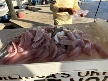 What a great time with Captain Jennings Parker!