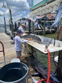 A young angler is preparing a large fish at a cleaning station on the dock, surrounded by multiple catches, showcasing a vibrant fishing environment.