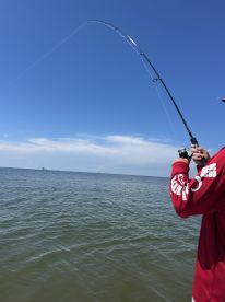 An angler casting a line in open waters, showcasing the excitement of fishing on a sunny day.
