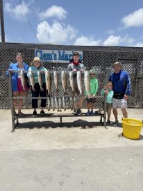 A family proudly displaying their catch of the day, featuring several large Speckled Trout, at Clem's Marina after a successful fishing trip.