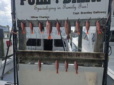 Best experience ever