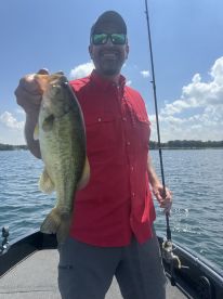 Balancing the Books and the Bass