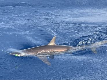 Excellent day on the water 