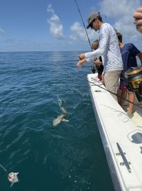A group of young anglers actively reeling in a fish while fishing on a boat in clear blue waters.