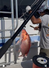 Angler reeling in a large Snapper while fishing on a boat, showcasing the excitement of the catch.