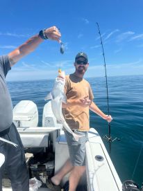 Two anglers on a boat proudly displaying a caught shark while fishing in calm waters.