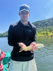 Angler displaying a beautiful Brown Trout while fishing on a serene lake surrounded by lush greenery.