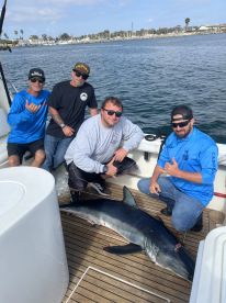 Knowledgeable captain 