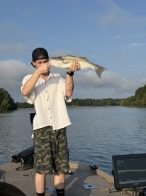 An angler proudly displaying a striped bass while fishing on a serene lake, showcasing a successful catch during a morning outing.
