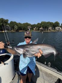Angler proudly displaying a large Catfish while fishing on a scenic lake, surrounded by lush greenery and waterfront homes.