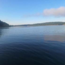 Professional and fun