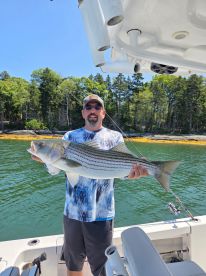 Angler proudly displaying a large Striped Bass while fishing in a scenic coastal environment.