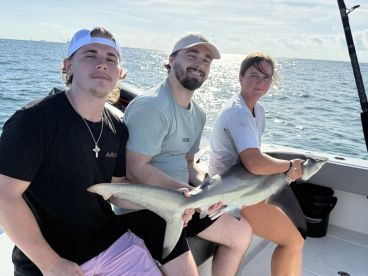 5 \u2b50\ufe0f trip - all around! 