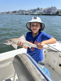 A young angler proudly displaying a small shark while on a boat, enjoying a sunny day on the water.
