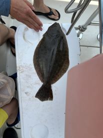 A Flounder displayed on a cleaning table aboard a boat, showcasing a successful fishing trip.
