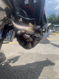 A mesh bag filled with various fish hanging from the boat, showcasing the catch after a successful fishing trip.