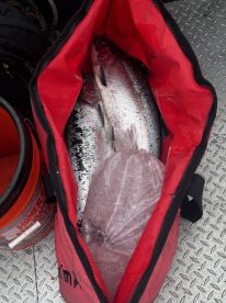 Great time with a great captian