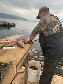 Excellent fishing experience 