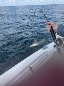 An angler actively reeling in a fish while fishing offshore, showcasing the excitement of the catch in a vibrant ocean setting.