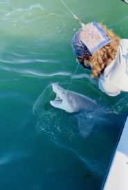 An angler reeling in a shark while fishing from a boat, showcasing the excitement of deep-sea fishing.