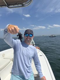 Nice morning on the Laurianna