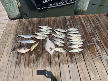 Great time, great variety of fish!