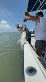 Kid friendly and fun guy