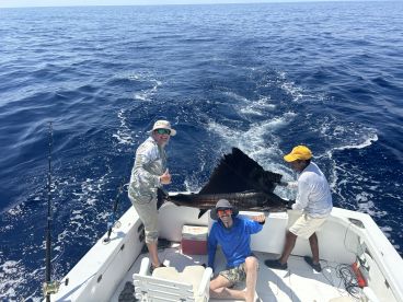 Anglers aboard a sport fishing boat are actively engaged in catching a large Sailfish in deep blue waters, showcasing the excitement of offshore fishing.