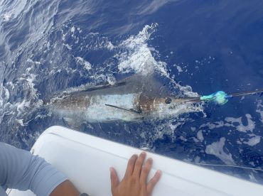 Great crew!  Great boat!