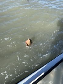 A trip we will never forget! 