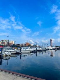 A scenic view of a marina featuring multiple boats docked, with a clear blue sky and reflections on the water.