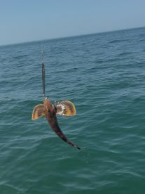 Great first time experience!