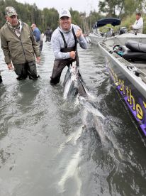 Angler proudly displaying a catch of multiple salmon while standing in the water during a fishing trip.