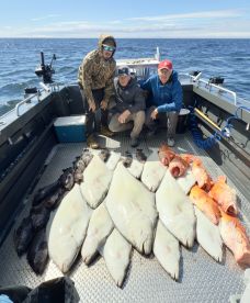 Big Halibut day
