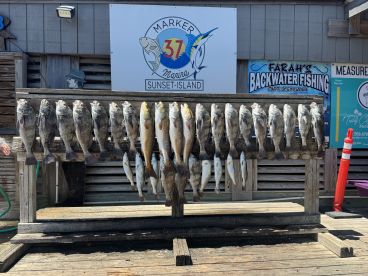 What a great fishing trip !