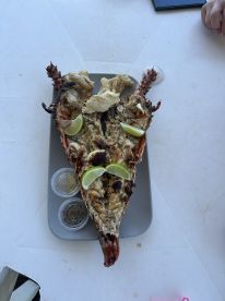 Grilled lobster served on a platter with lime wedges and seasoning at a seaside dining location.
