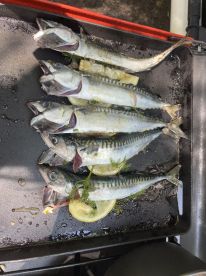 A selection of freshly caught Mackerel displayed on a grill, garnished with lemon and herbs, showcasing a successful fishing trip.