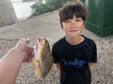 Best experience ever.  