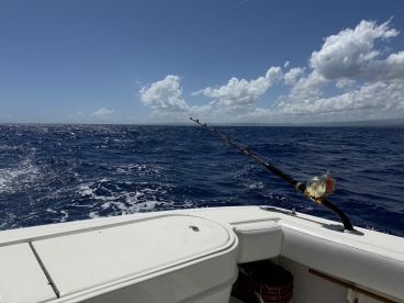 Mahi and mahi