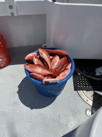 Major fun with Captain Zach and Josh.