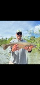 Angler proudly displaying a large Rainbow Trout while fishing in a scenic river environment.